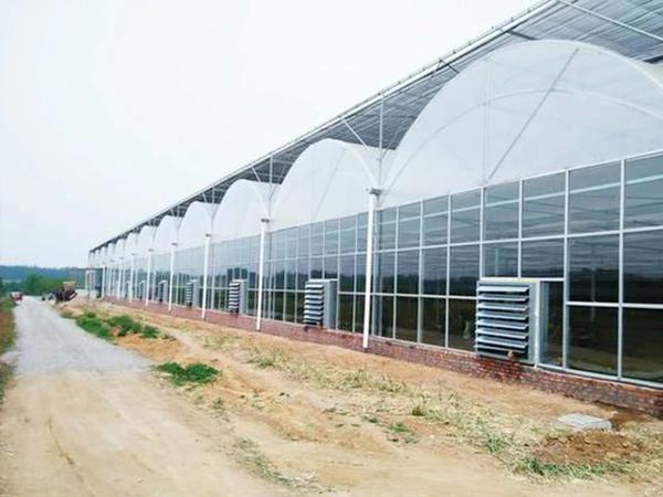 连栋温室