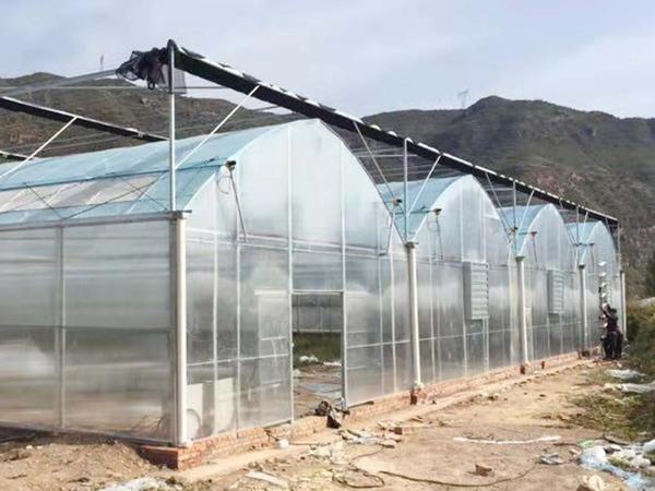 连栋温室