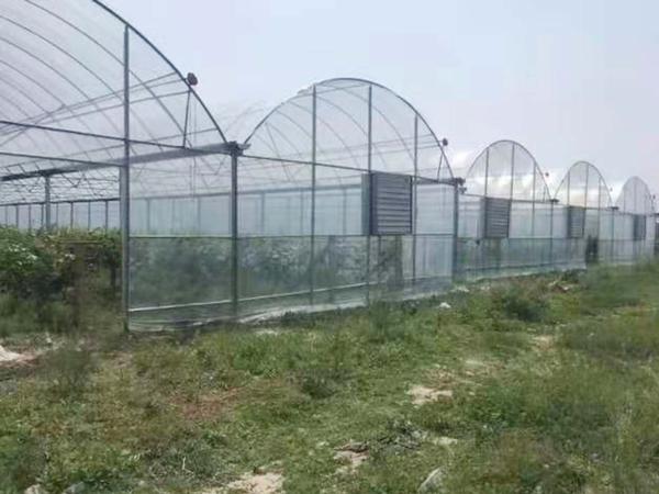 连栋温室