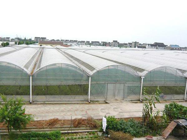 连栋温室